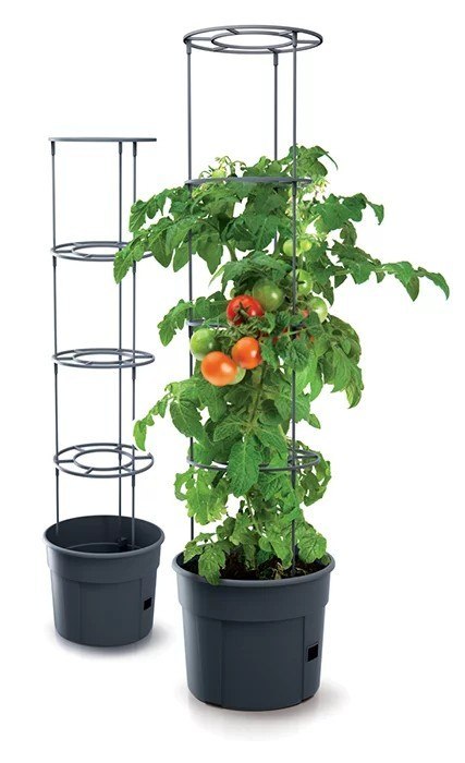 DONICZKA TOMATO GROWER - ANTRACYTOWY 12L PROSPERPLAST DONICZKA TOMATO GROWER - ANTRACYTOWY 12L PROSPERPLAST