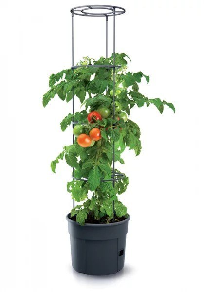 DONICZKA TOMATO GROWER - ANTRACYTOWY 12L PROSPERPLAST DONICZKA TOMATO GROWER - ANTRACYTOWY 12L PROSPERPLAST