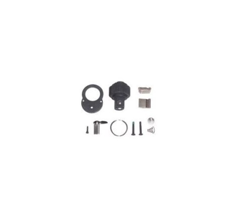 JONNESWAY KOMPLET NAPRAWCZY GRZECHOTKI 1/4" R2902RK JONNESWAY KOMPLET NAPRAWCZY GRZECHOTKI 1/4" R2902RK