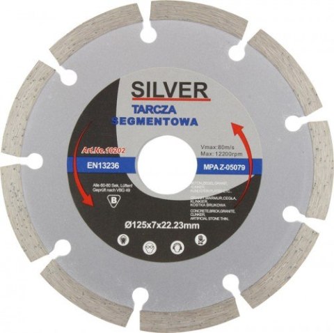 TARCZA DIAMENTOWA SEGMENTOWA 125 x 22,2 x 7mm TARCZA DIAMENTOWA SEGMENTOWA 125 x 22,2 x 7mm