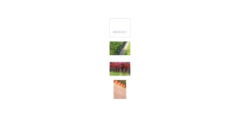 PROSPERPLAST OBRZEŻE OGRODOWE 10m GARDEN LINE TERAKOTA PROSPERPLAST OBRZEŻE OGRODOWE 10m GARDEN LINE TERAKOTA