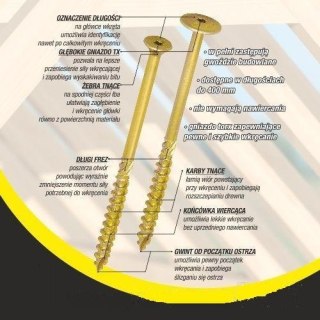 WKRĘT DO DREWNA Z KOŁNIERZEM NA TORX OCYNKOWANY 10*160MM T40 UN