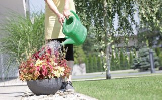 KONEWKA PLASTIKOWA 5L SPRING - ZIELONY PROSPERPLAST
